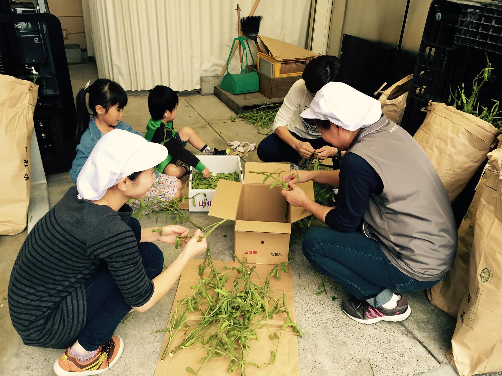 君津が生んだ最高級枝豆（小糸在来）をプレゼント開始ーーーッ！