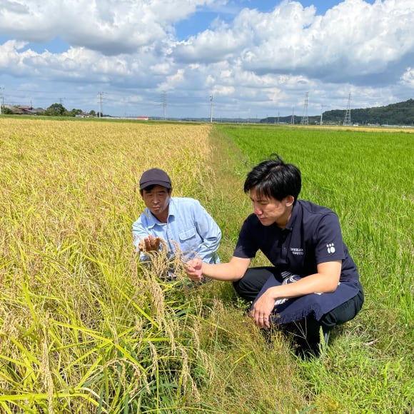 【イメージ】採用情報