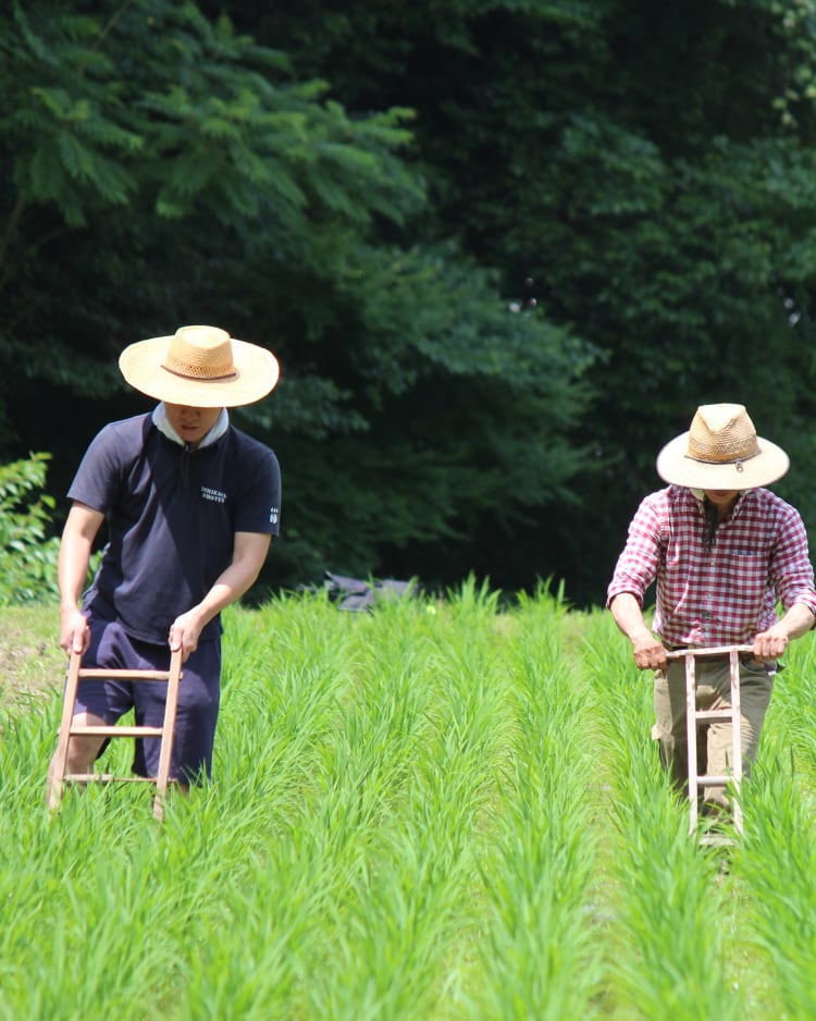 【イメージ】私たちのこだわり