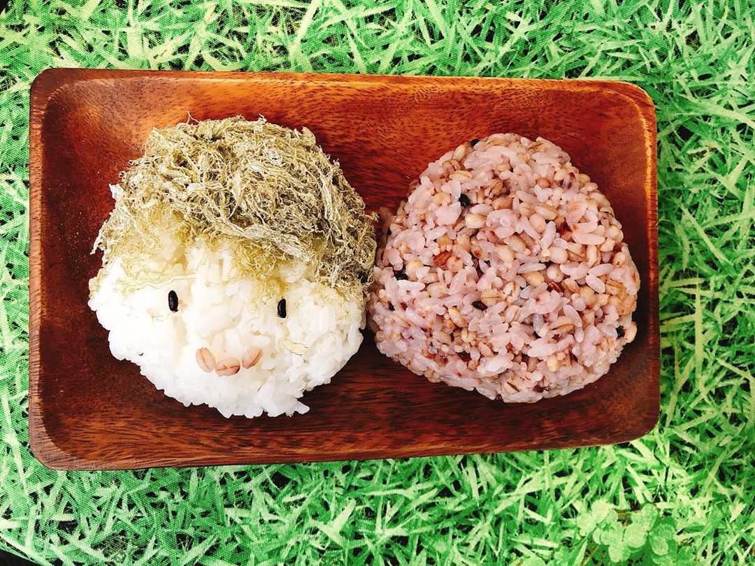 お昼ご飯がこんなのだったら食欲も湧くし可愛いかも。