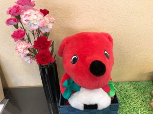 ちーばくんと母の日