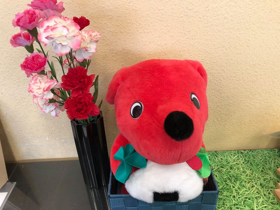今年の「母の日」は健康を意識してこれかな♬
