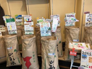 玄米各種