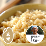 無農薬自然農法イセヒカリ（玄米）