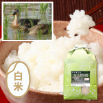 無農薬アイガモ農法米