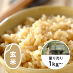 無農薬アイガモ農法米（玄米）