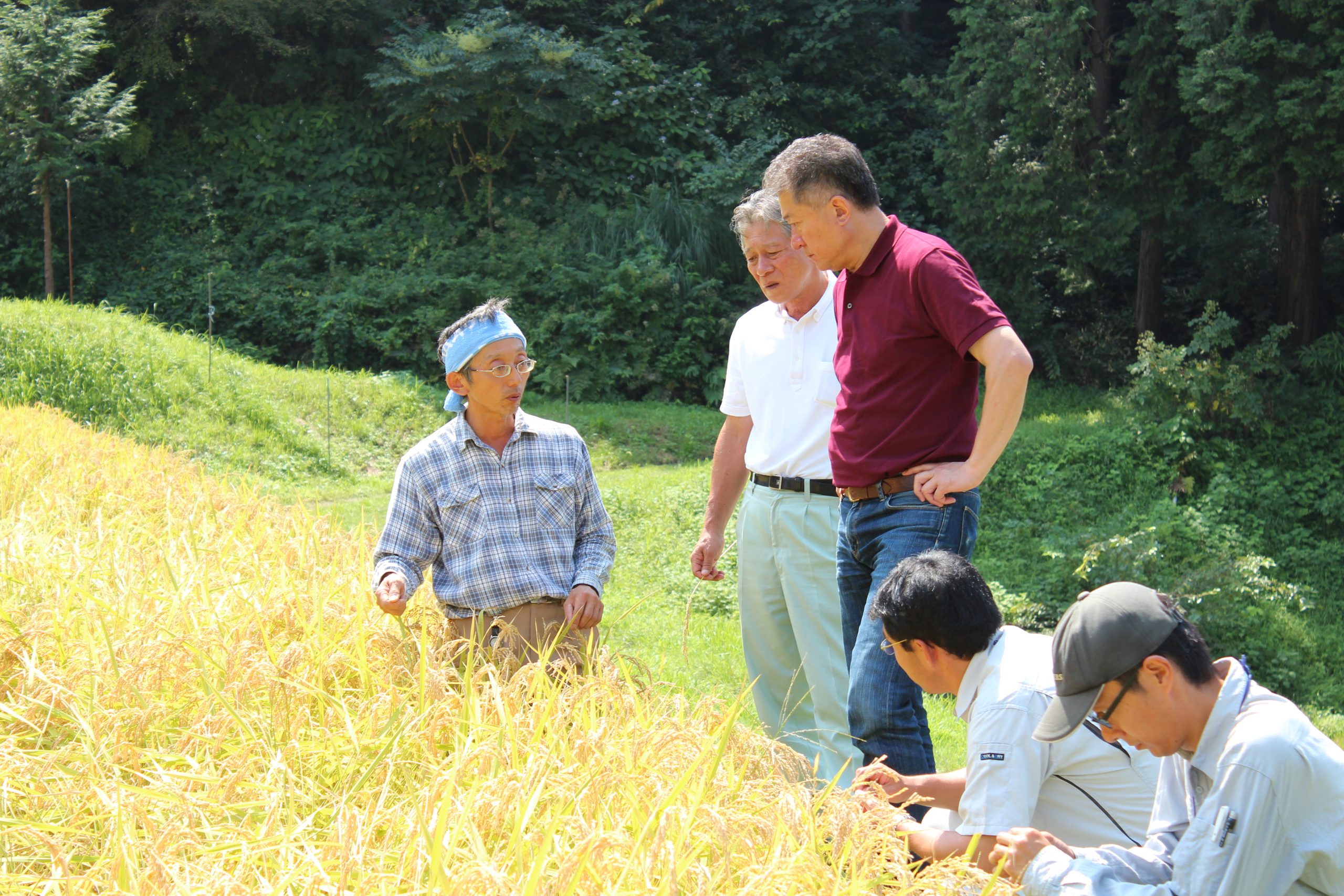 石川商店のSDGs