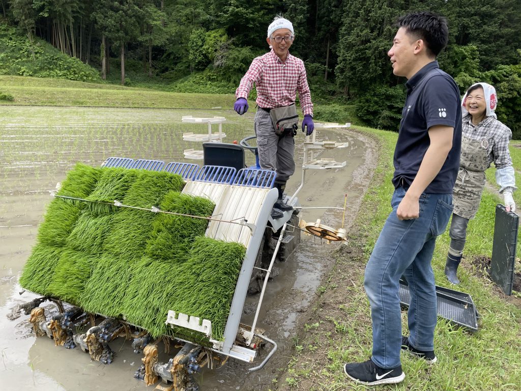 田植えが終わってひと段落