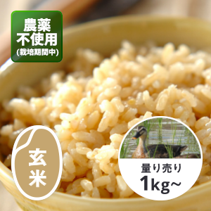 無農薬アイガモ農法コシヒカリ（玄米）