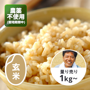 無農薬自然農法ひとめぼれ（玄米）