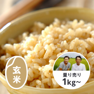 千葉県産とねのめぐみ（玄米）