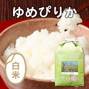 北海道ゆめぴりか