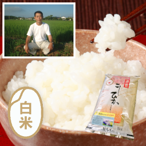 千葉県産渡辺さんちのこしひかり