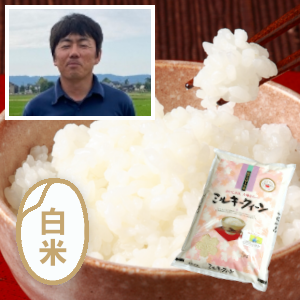 新潟産ミルキークイーン