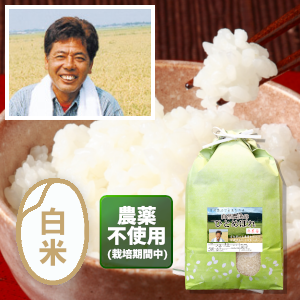 無農薬自然農法ひとめぼれ