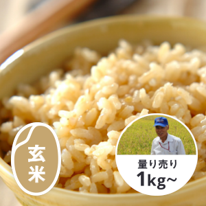 秋田産淡雪こまち（玄米）
