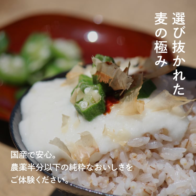 選び抜かれた麦の極み