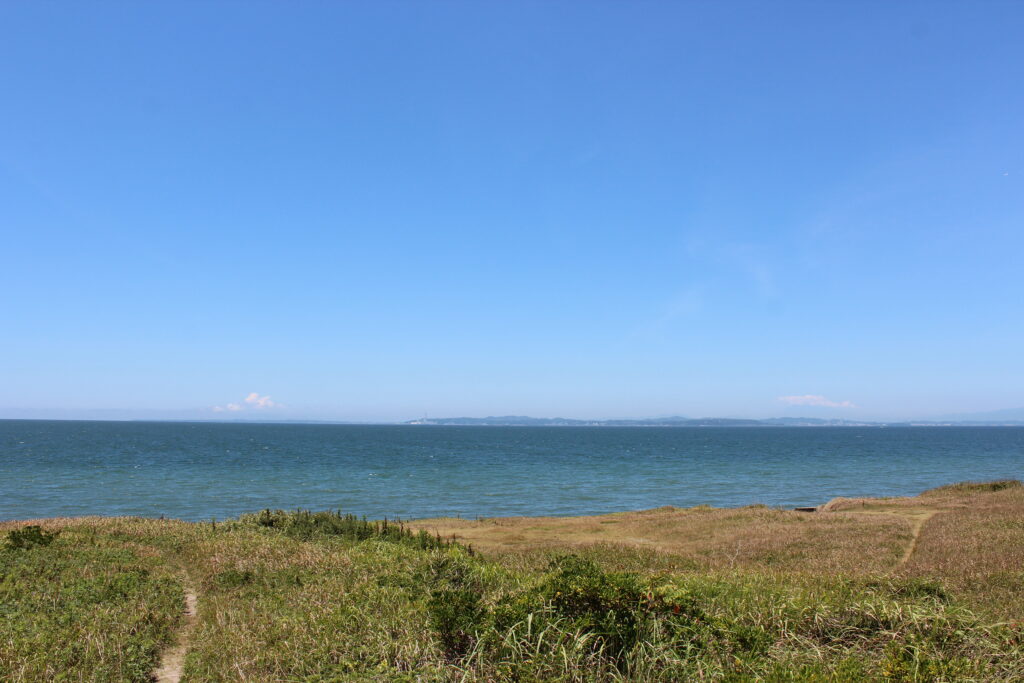 海