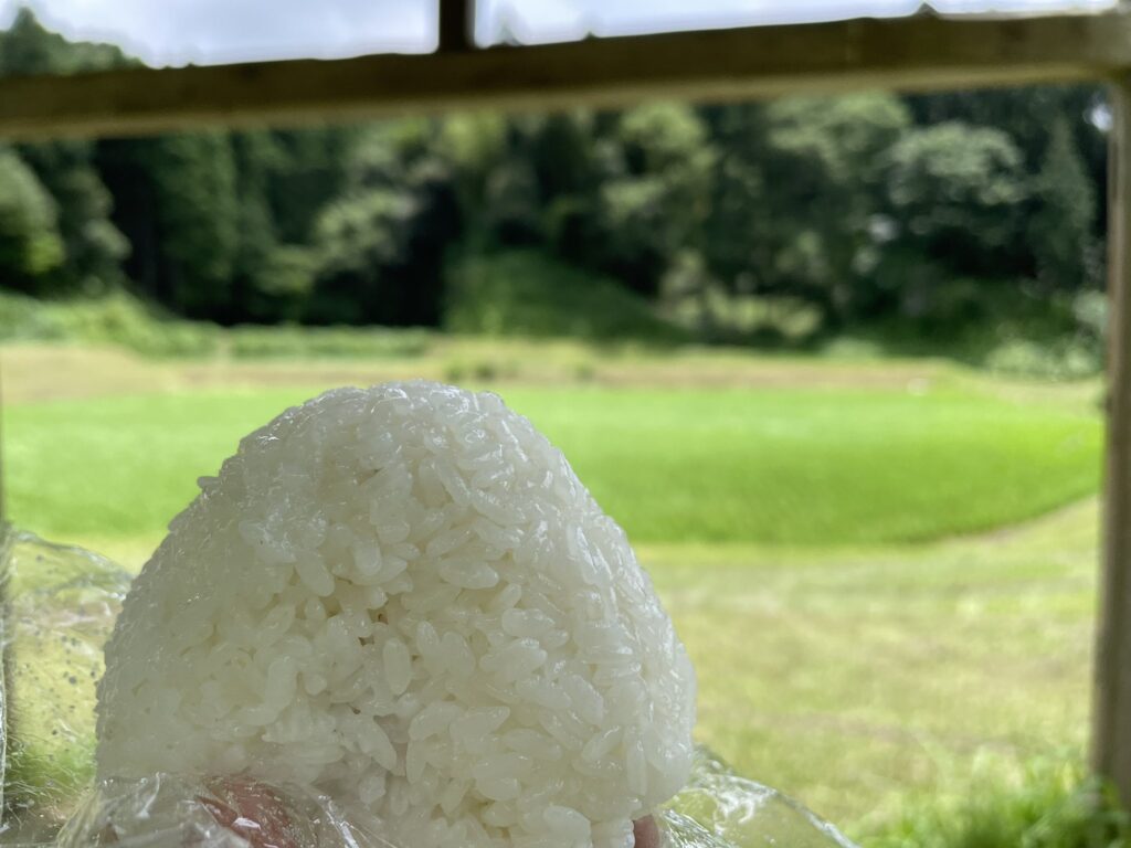 おにぎりにぬちまーす