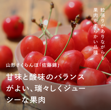 瑞々しくジューシーな果肉