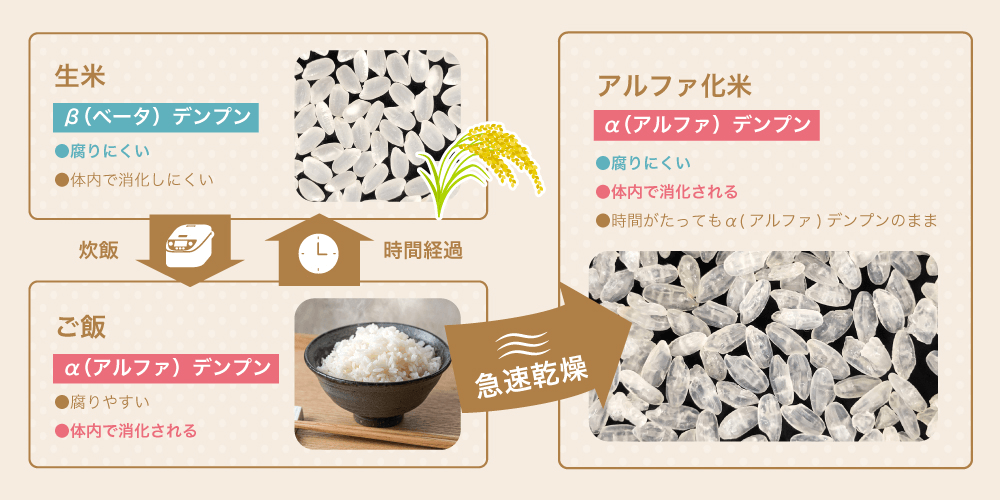 アルファ化米についての説明