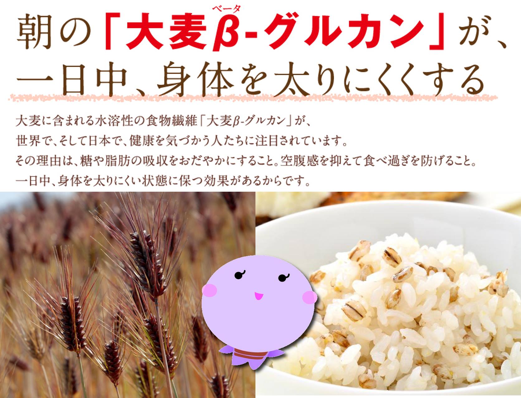 6月は麦月間 夏バテする前にもち麦や麦茶を取り入れよう 雑穀とお米の通販なら石川商店オンラインショップ